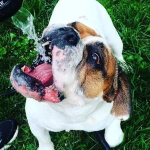 Meet your Posher, Mallory